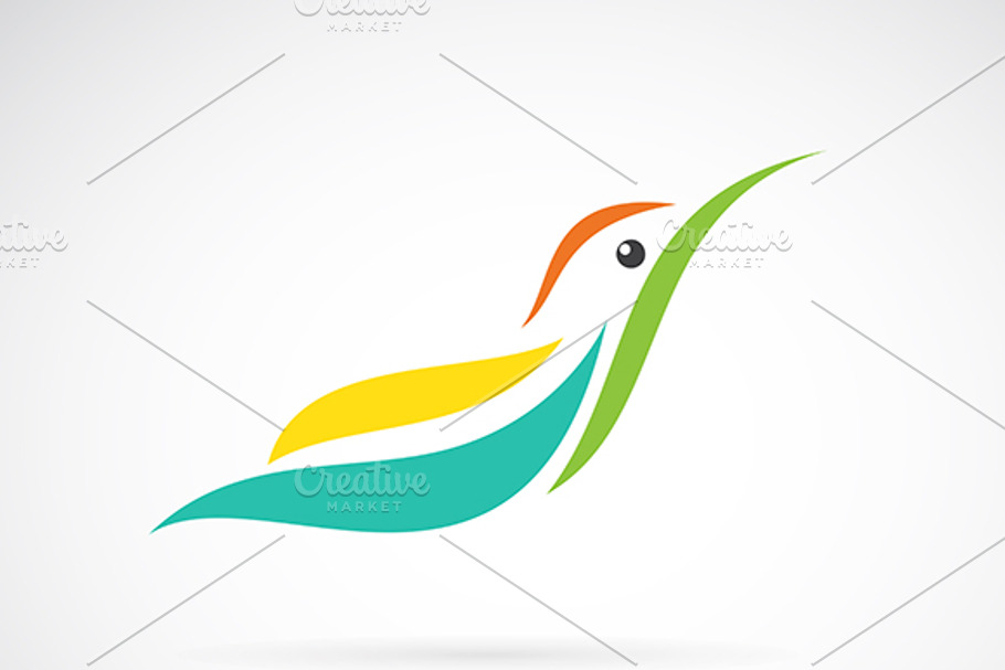 Hummingbird design | Pre-Designed Illustrator Graphics ~ Creative Market