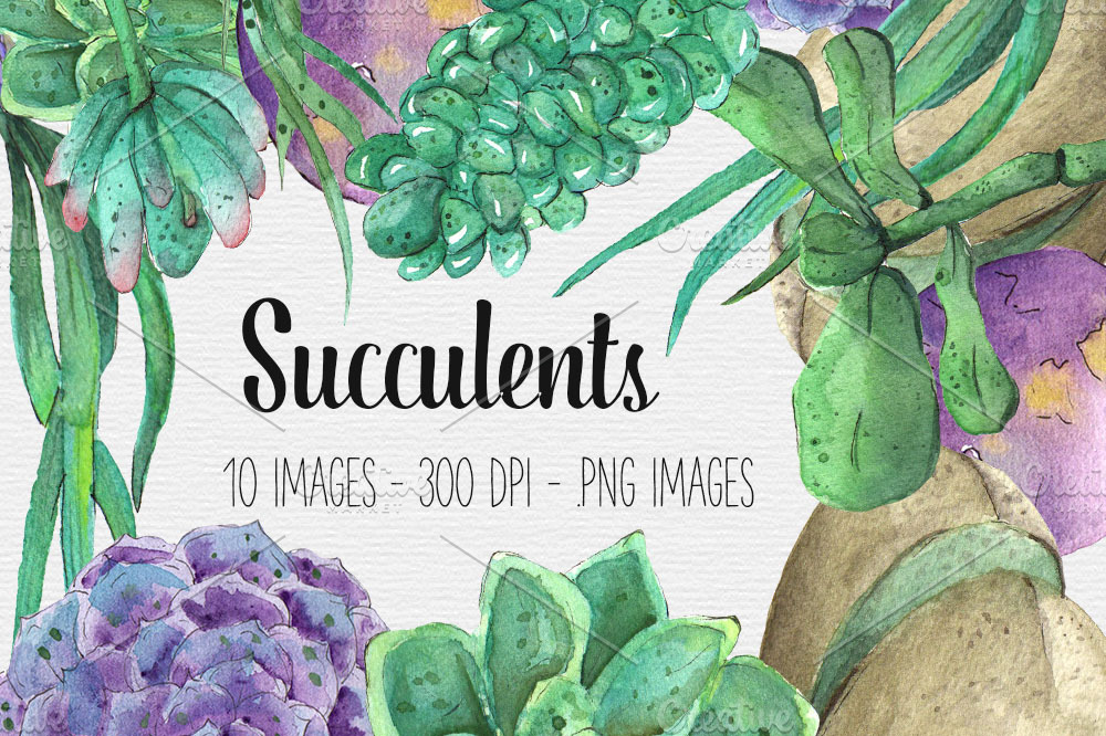 Watercolor Succulent Clipart | Illustrations ~ Creative Market