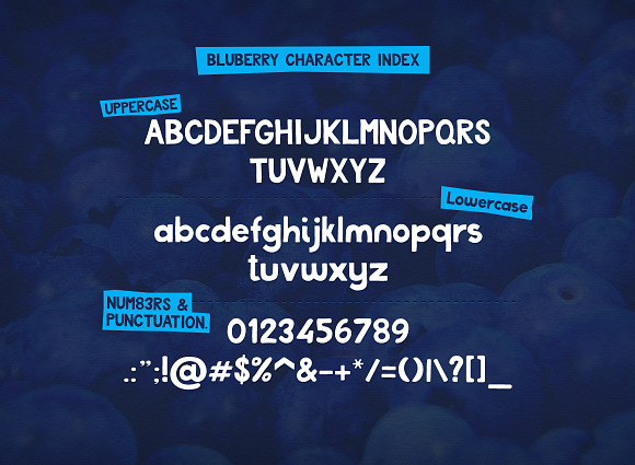 Blueberry Font