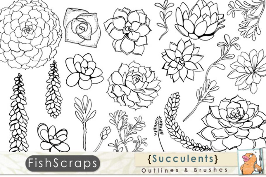 Featured image of post Succulent Outline Clipart Digital download clip art set