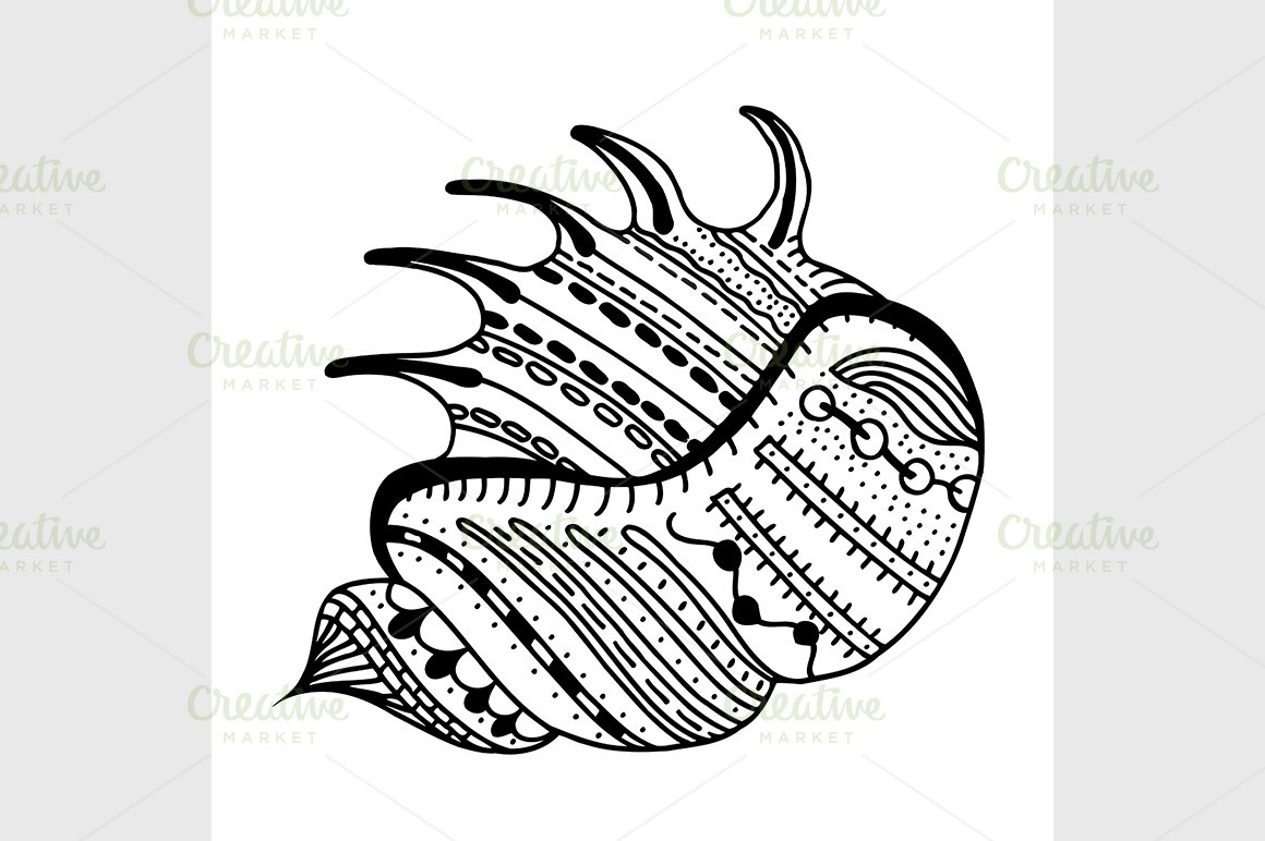 Hand Drawn seashell. | Background Graphics ~ Creative Market