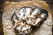 Oyster mushrooms featuring background, brown, and color | Food Images