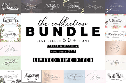 Supreme Script + SVG | Script Fonts ~ Creative Market