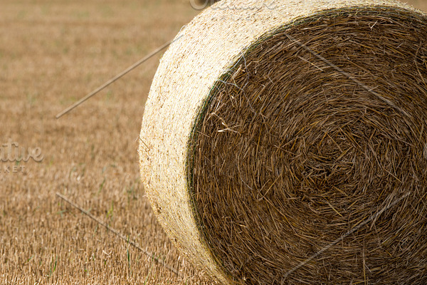 Balls of straw stock photo containing balls and straw | High-Quality ...