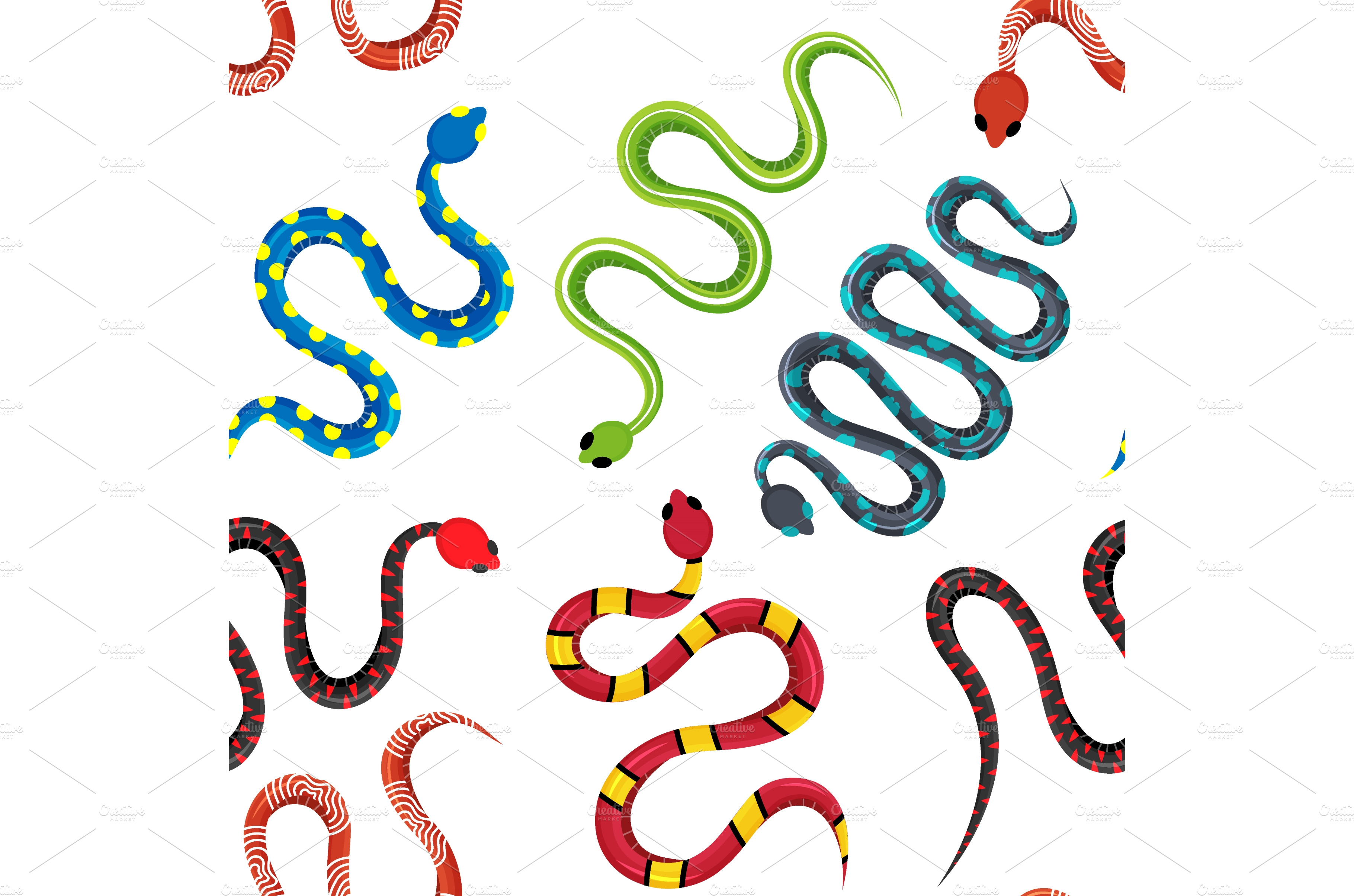 Colored exotic snakes pattern Animal Illustrations Creative Market