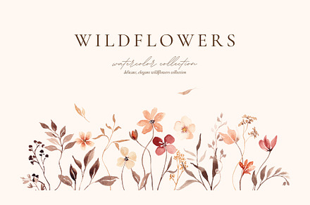 Dried Wildflowers Collection