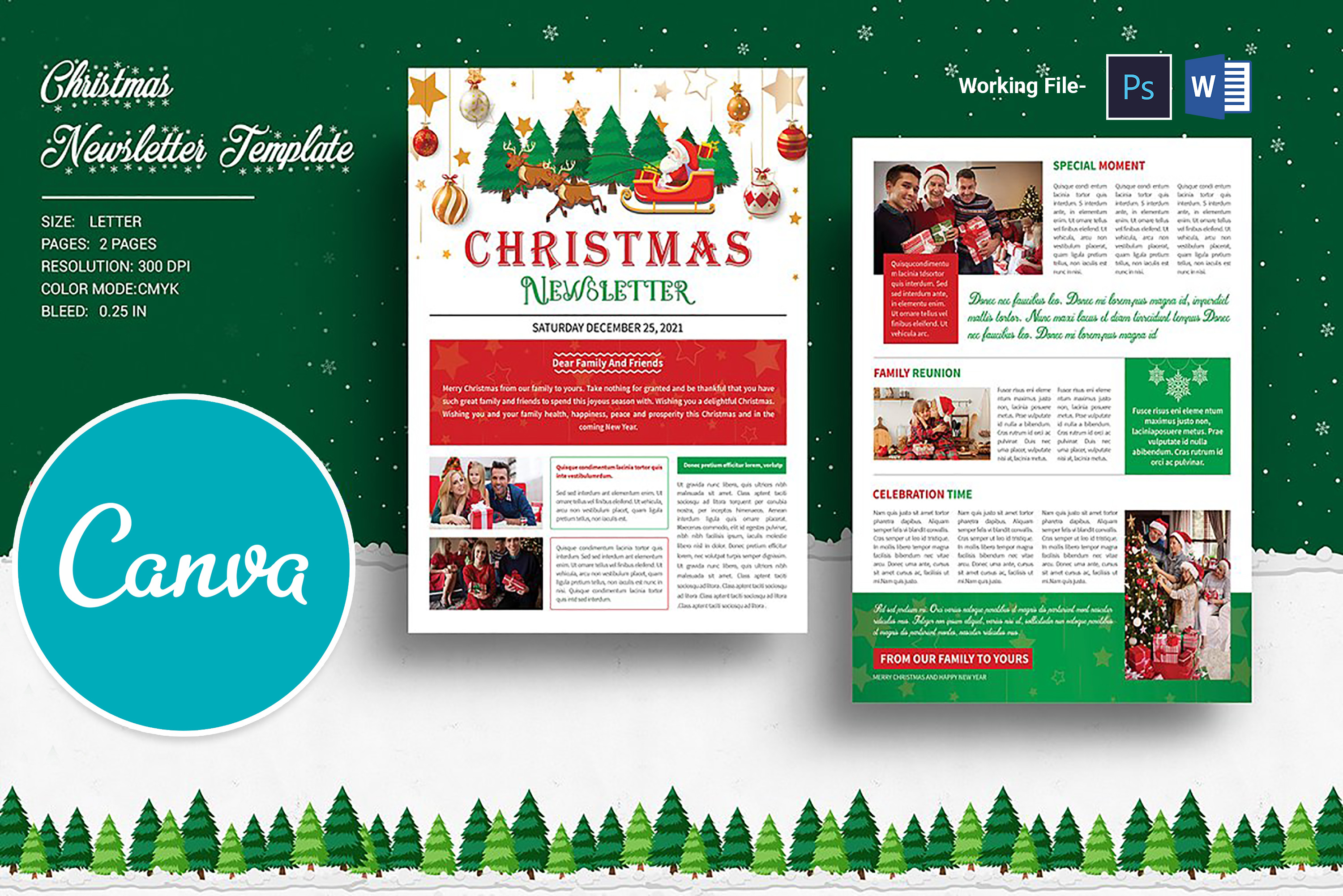 Christmas Newsletter Template | Flyer Templates ~ Creative Market