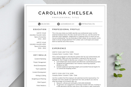 Resume Template Professional | Resume Templates ~ Creative Market