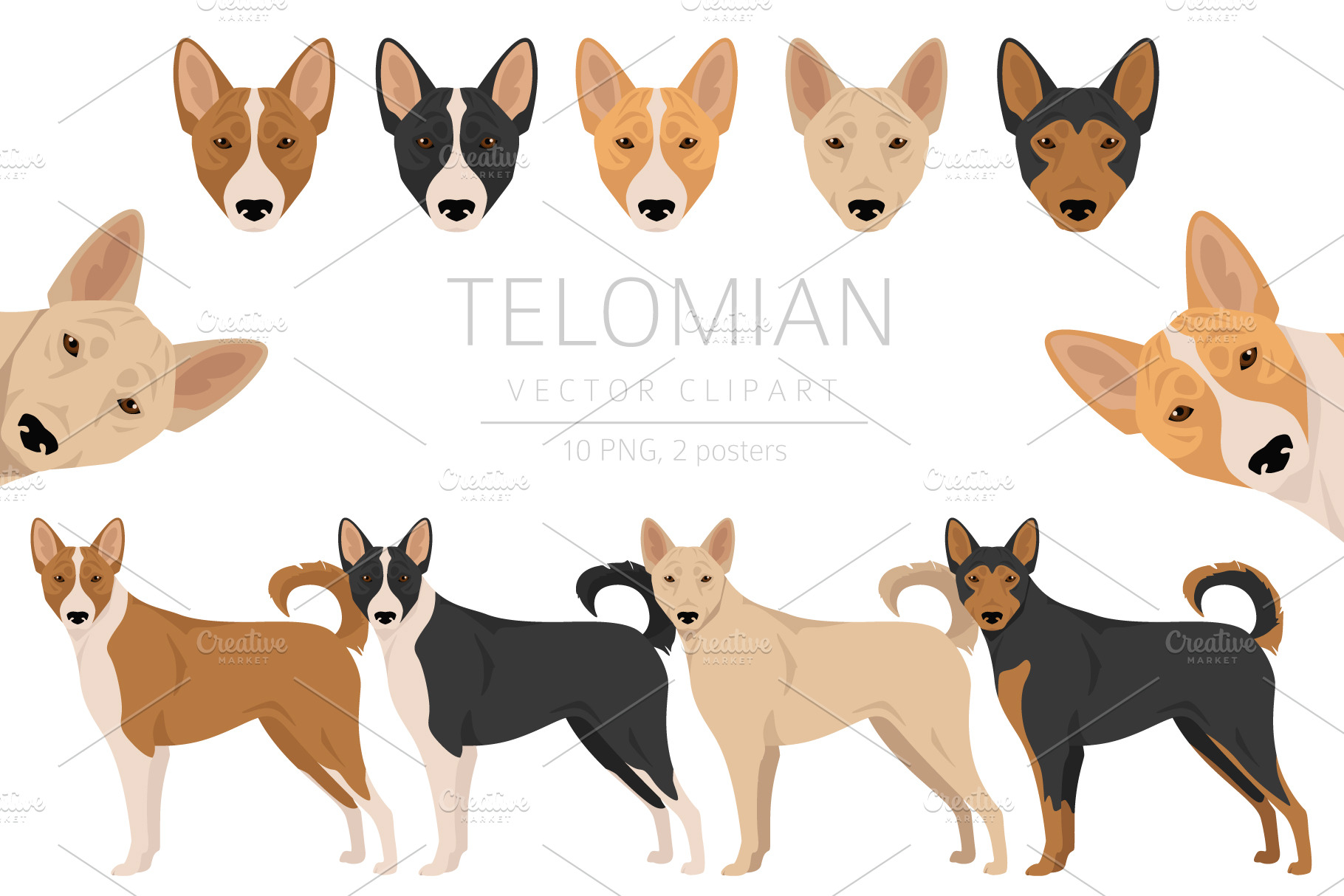 is the telomian a good breed of dog