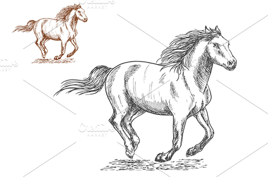 Running horse | Pre-Designed Illustrator Graphics ~ Creative Market