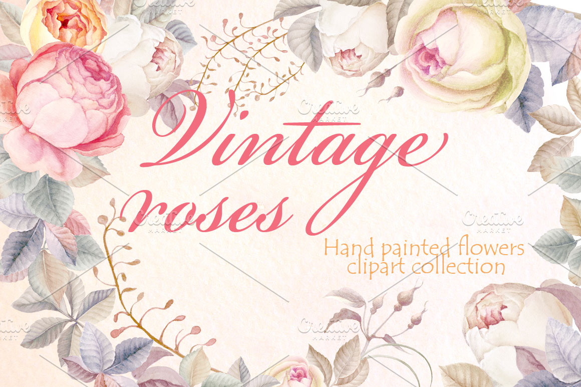 Vintage Rouses - Clipart Collection | Illustrations ~ Creative Market