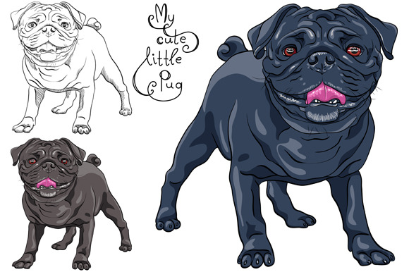 Dog black pug breed | Pre-Designed Photoshop Graphics ~ Creative Market