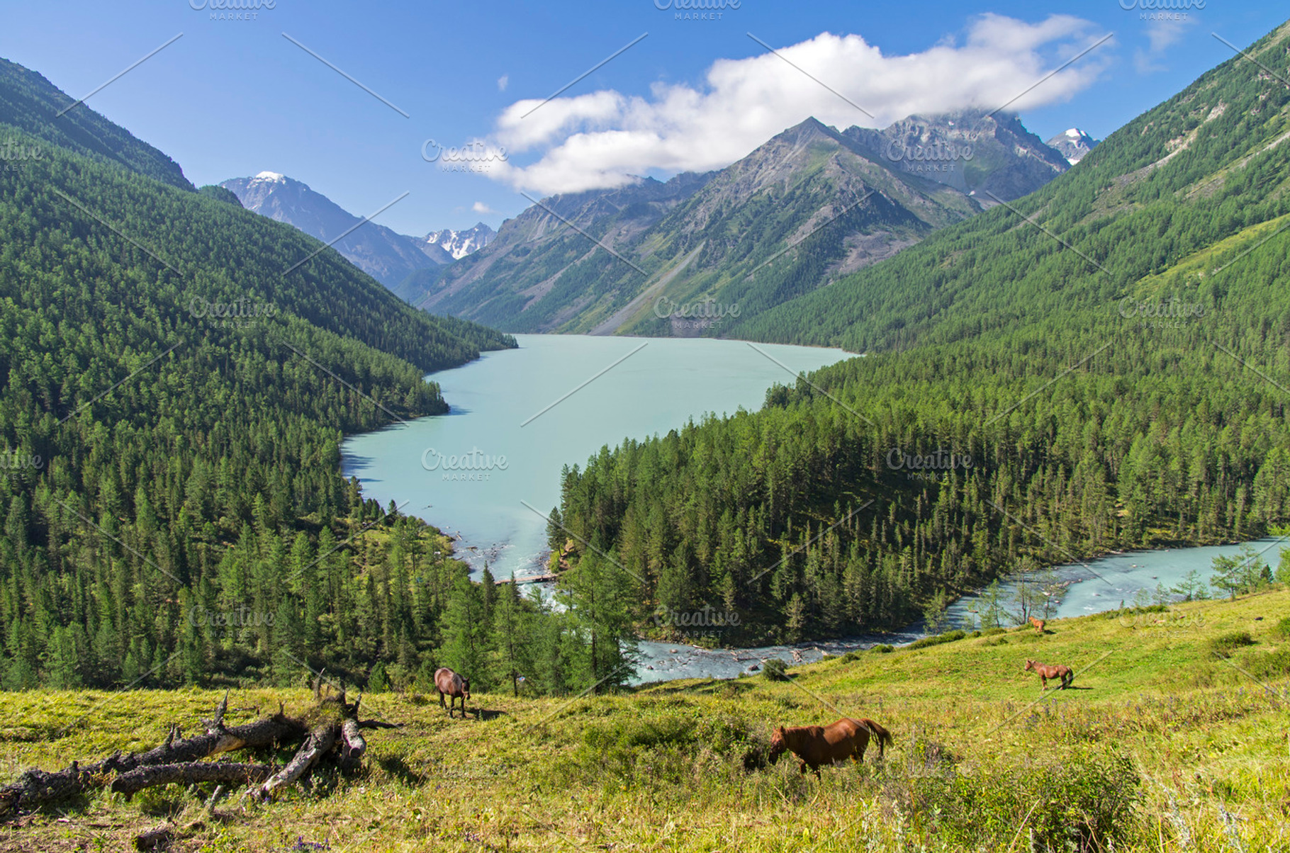 Kucherla Lake