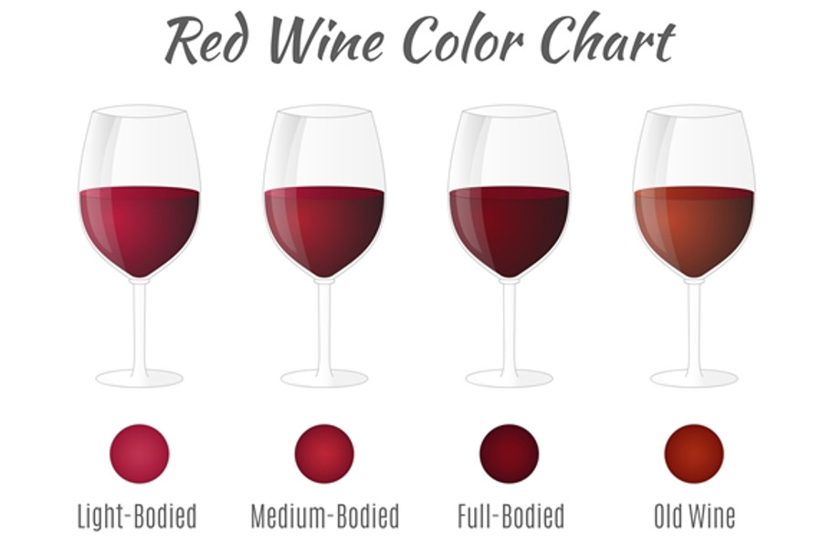 White wine color chart. | Pre-Designed Illustrator Graphics ~ Creative ...