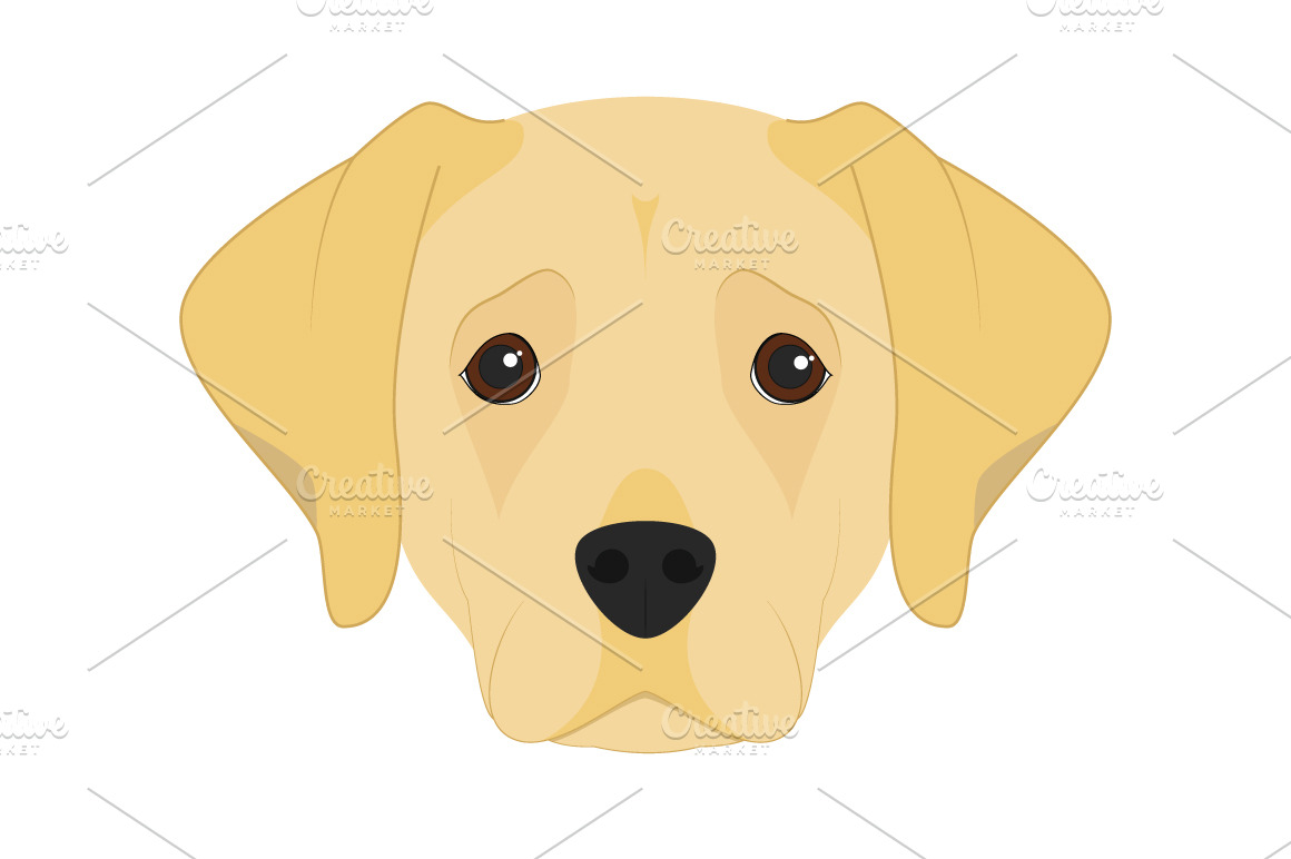 Labrador Retriever Illustration | Pre-Designed Illustrator Graphics