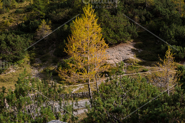 Majestic Scenery In The Mountains Featuring Mountain Snow And