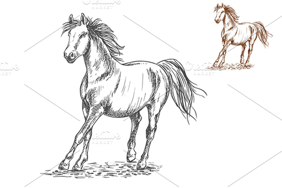 Running horses pencil sketch | Pre-Designed Illustrator Graphics