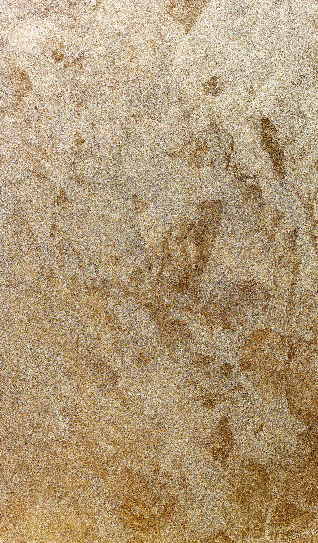 Decorative stucco texture | Textures ~ Creative Market