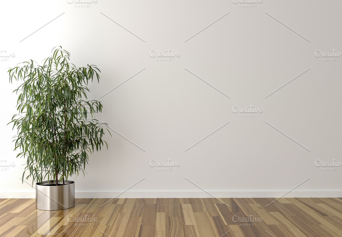 Solo interior plant background | Arts & Entertainment Stock Photos ...