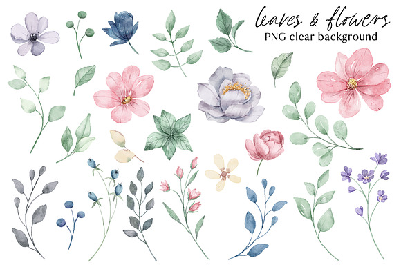 T-shirt design with Flowers, PNG Graphic by Larisa Maslova