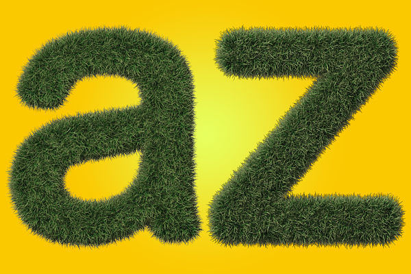 grass-letters-custom-designed-illustrations-creative-market