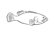 Giant Grouper Cartoon EPS PNG JPG | Animal Illustrations ~ Creative Market