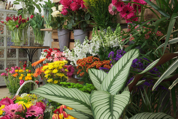 Flower Shop Interior High Quality Stock Photos Creative Market