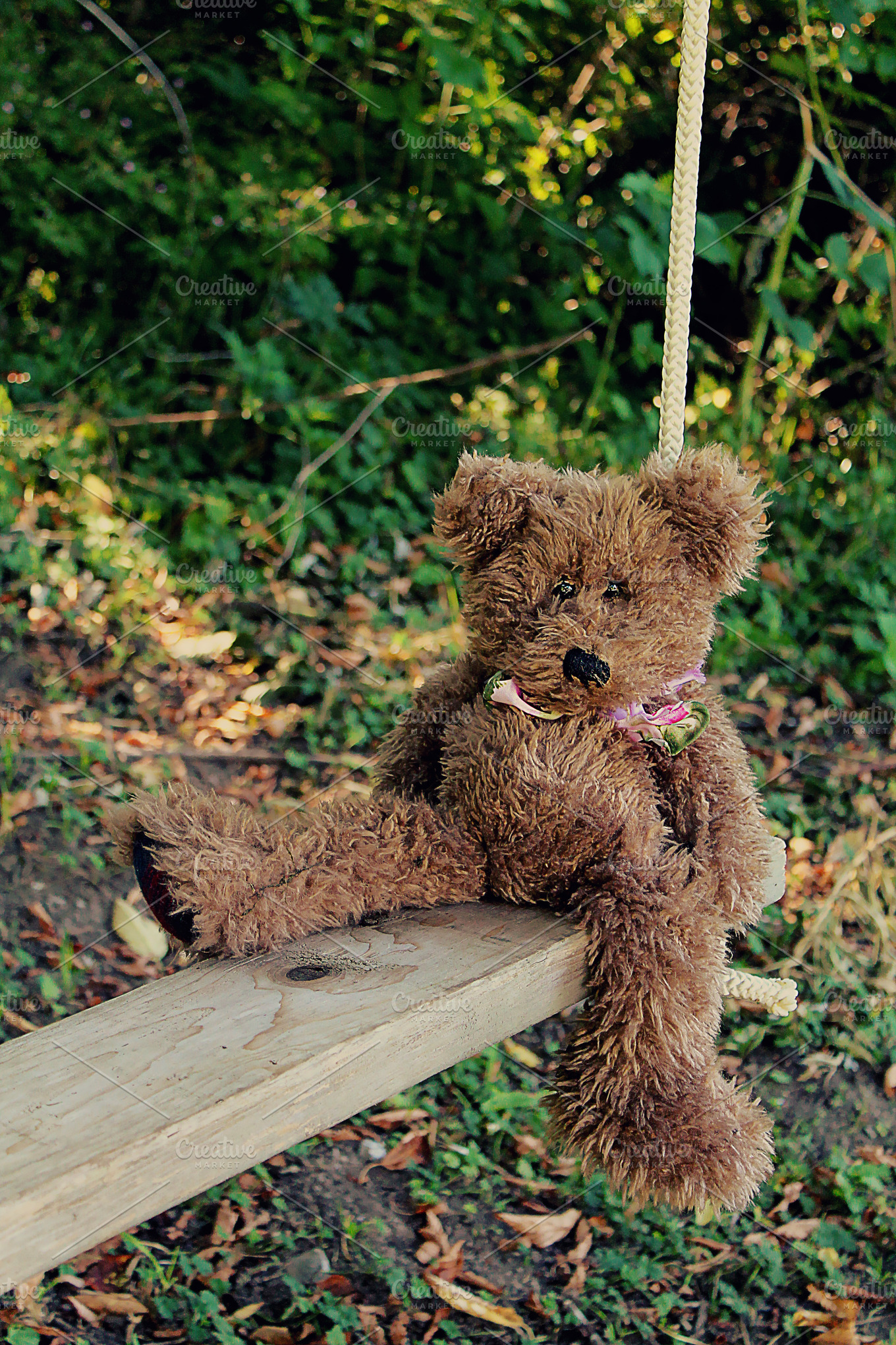 teddy bear swing