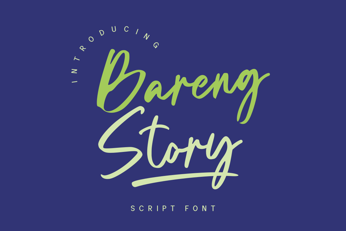 bareng-story-script-font-script-fonts-creative-market