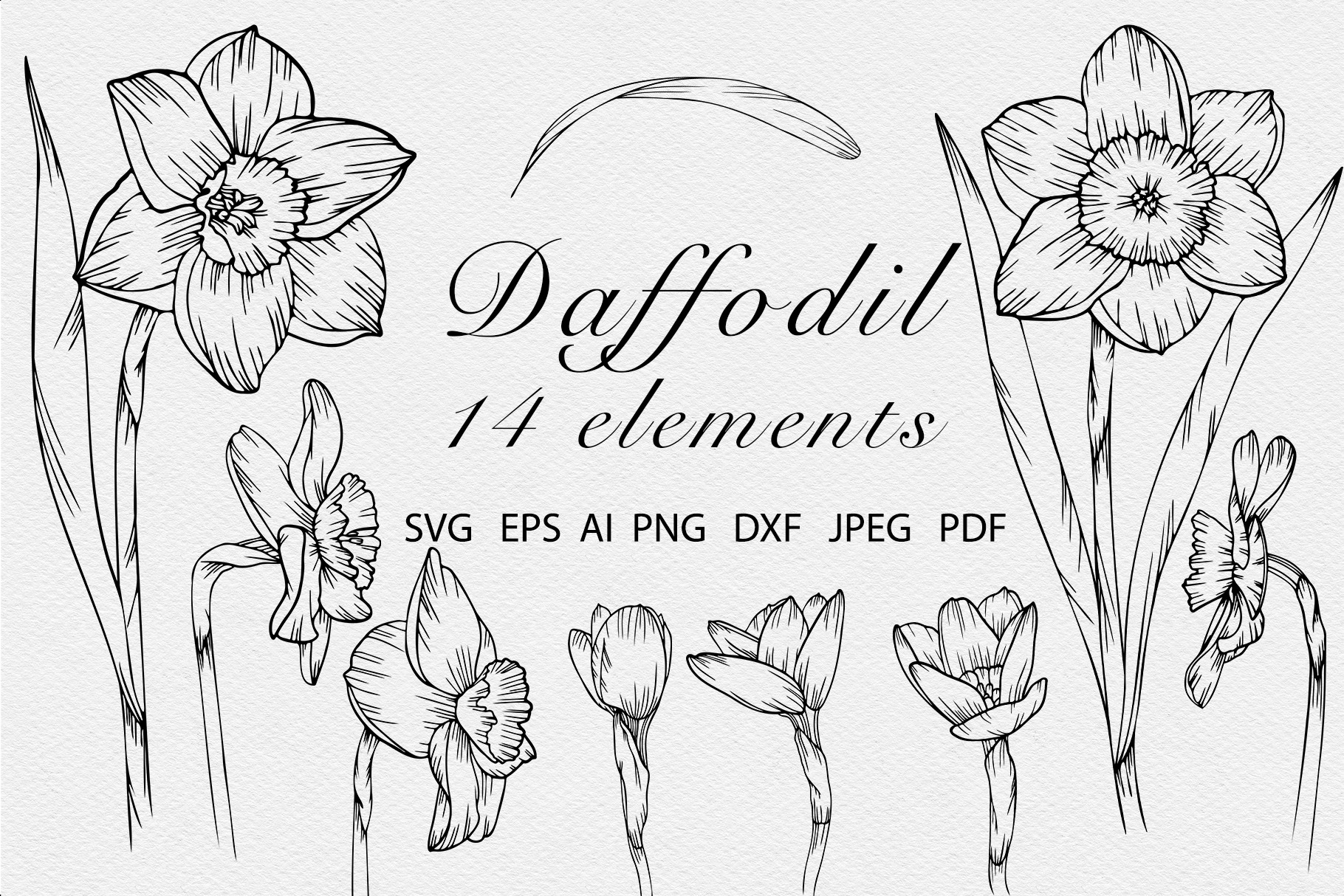 Daffodil flower SVG Line art vector | Graphic Objects ~ Creative Market