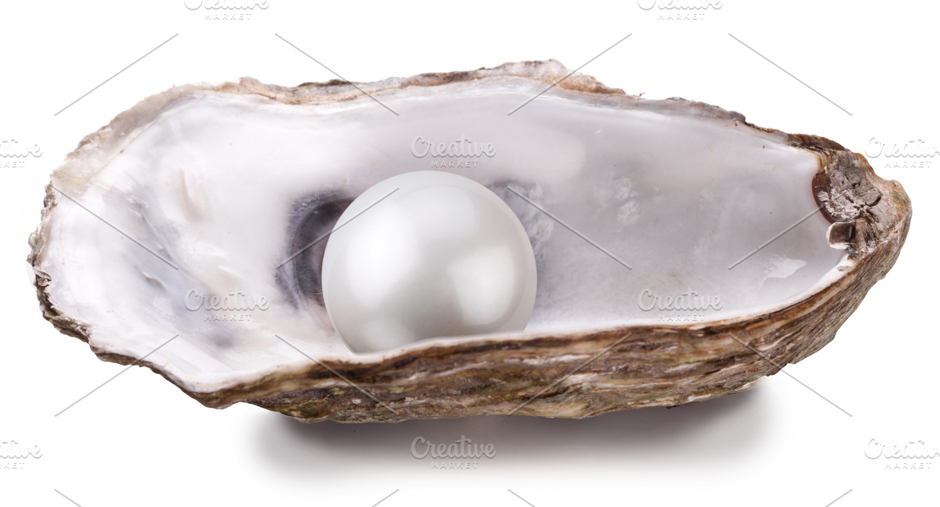 Open oyster with pearl stock photo containing pearl and oyster | Nature