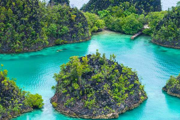  Pianemo  Islands Raja  Ampat  High Quality Nature Stock 