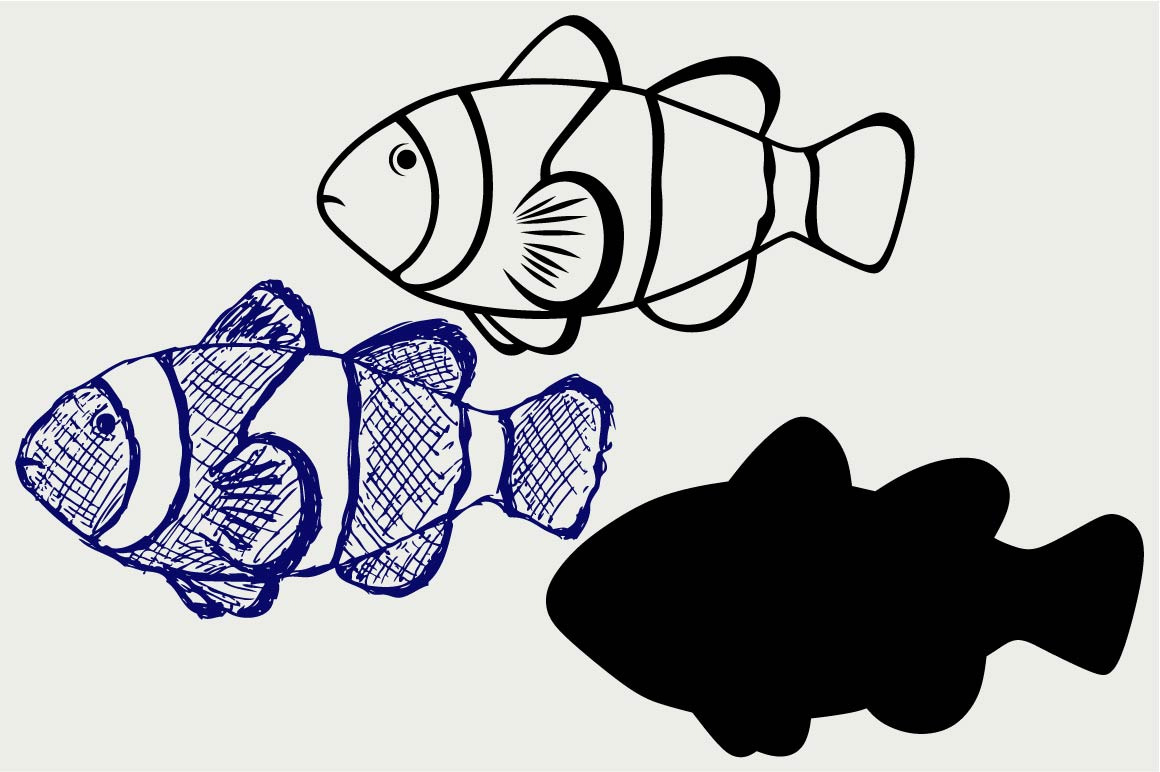 Download Tropical Reef Fish Svg Pre Designed Illustrator Graphics Creative Market