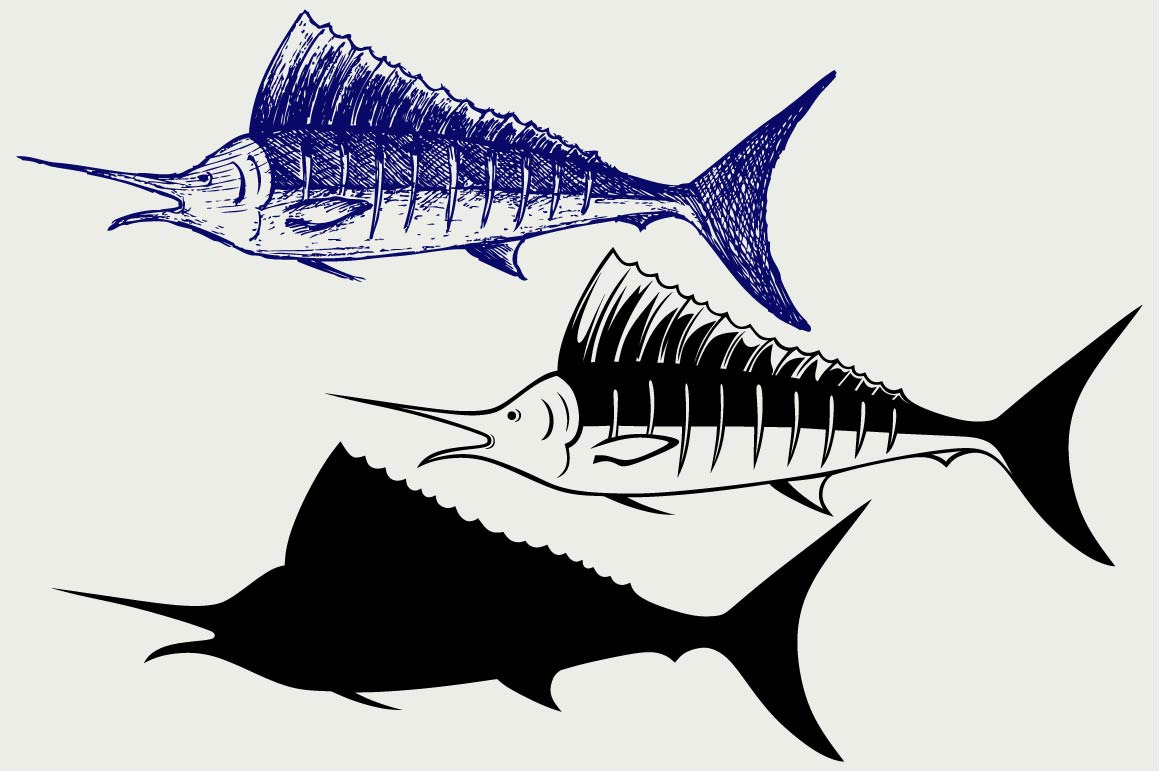 Download Sailfish Saltwater Fish Svg Pre Designed Illustrator Graphics Creative Market