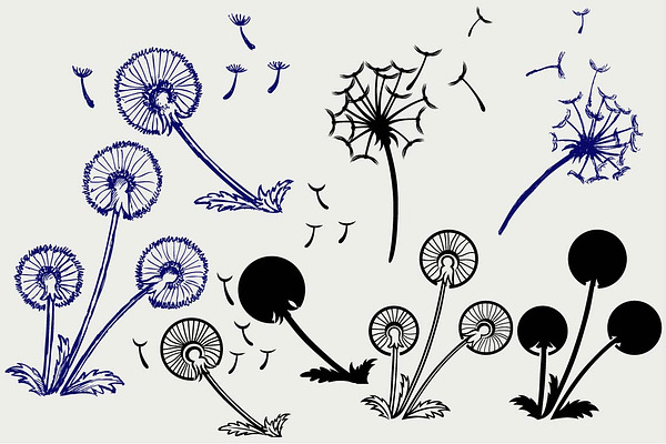 Blow Dandelion Svg Pre Designed Illustrator Graphics Creative Market