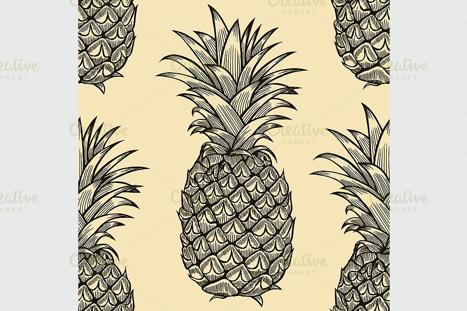 Vector pineapples hand drawn sketch. Pre-Designed Illustrator 