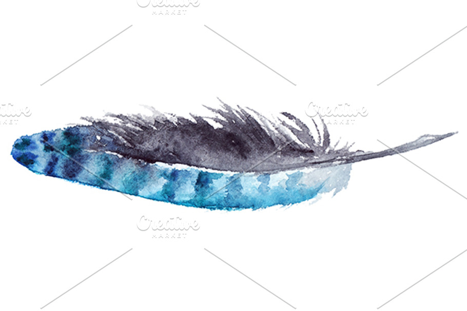 Watercolor Blue Jay Feather Vector Pre Designed Illustrator Graphics Creative Market