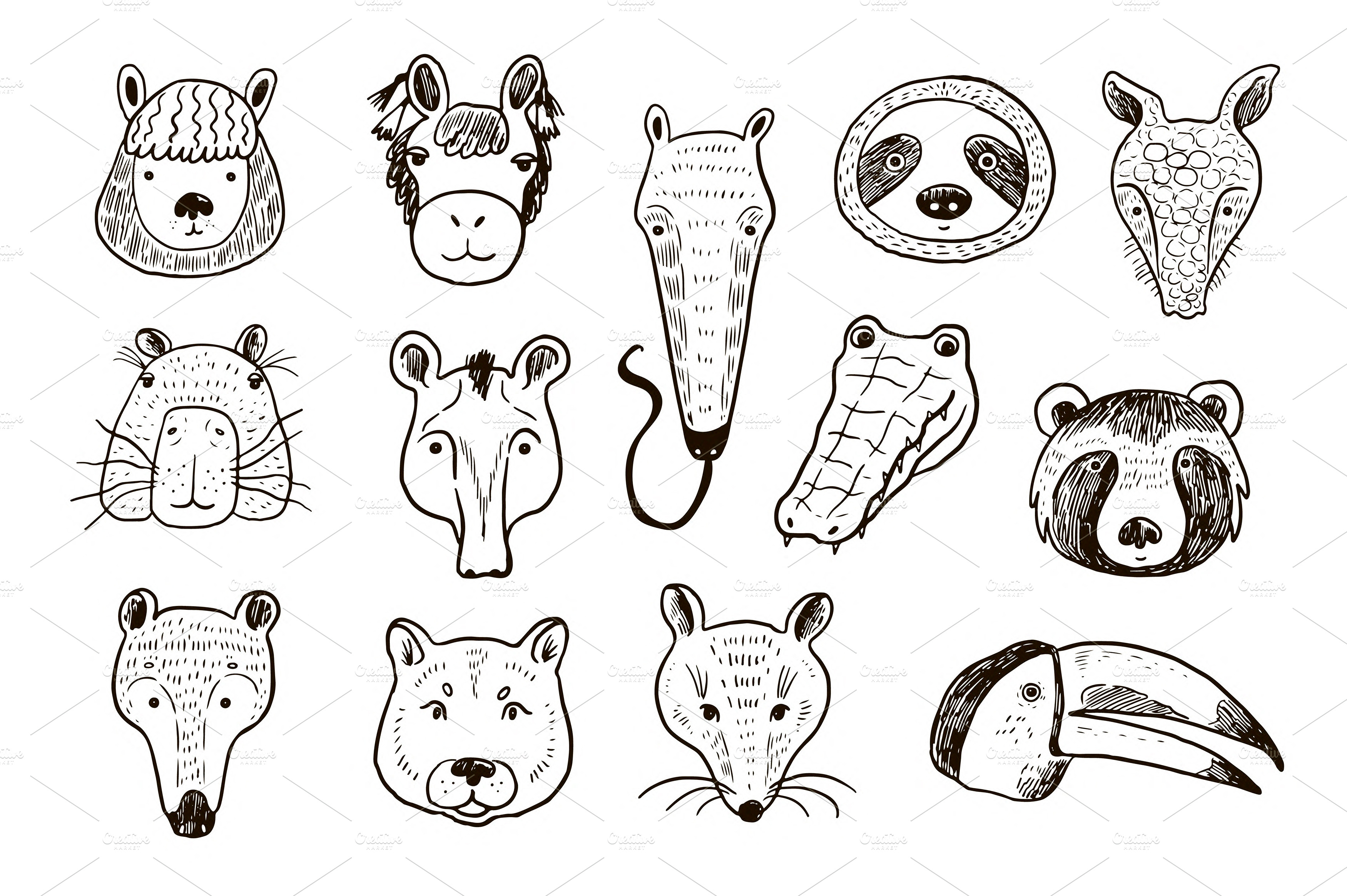 animals-of-south-america-funny-faces-animal-illustrations-creative