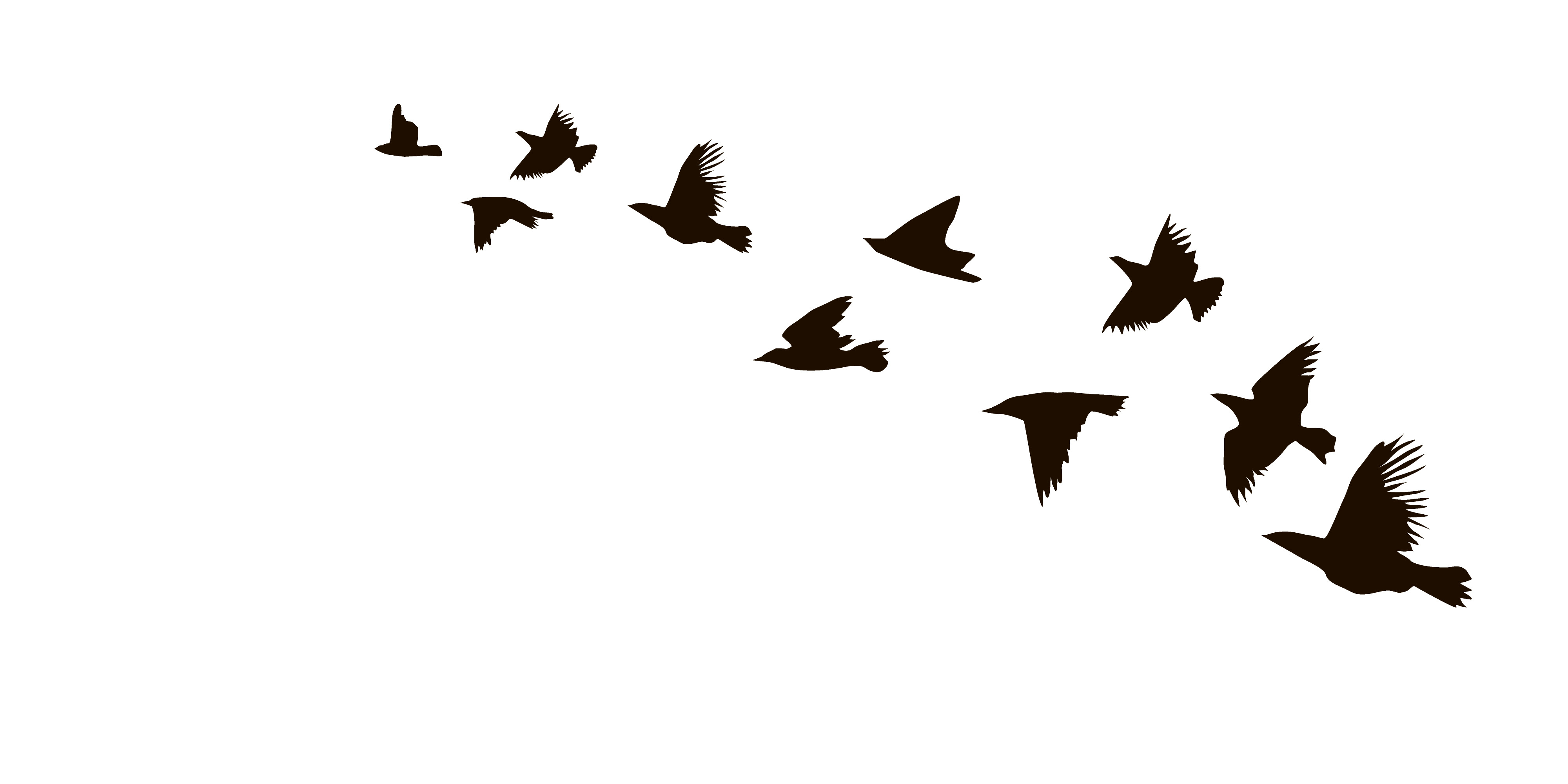 A Flock Of Flying Birds Pre Designed Illustrator Graphics Creative Market