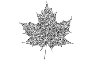 Realistic red maple leaf | Pre-Designed Illustrator Graphics ~ Creative