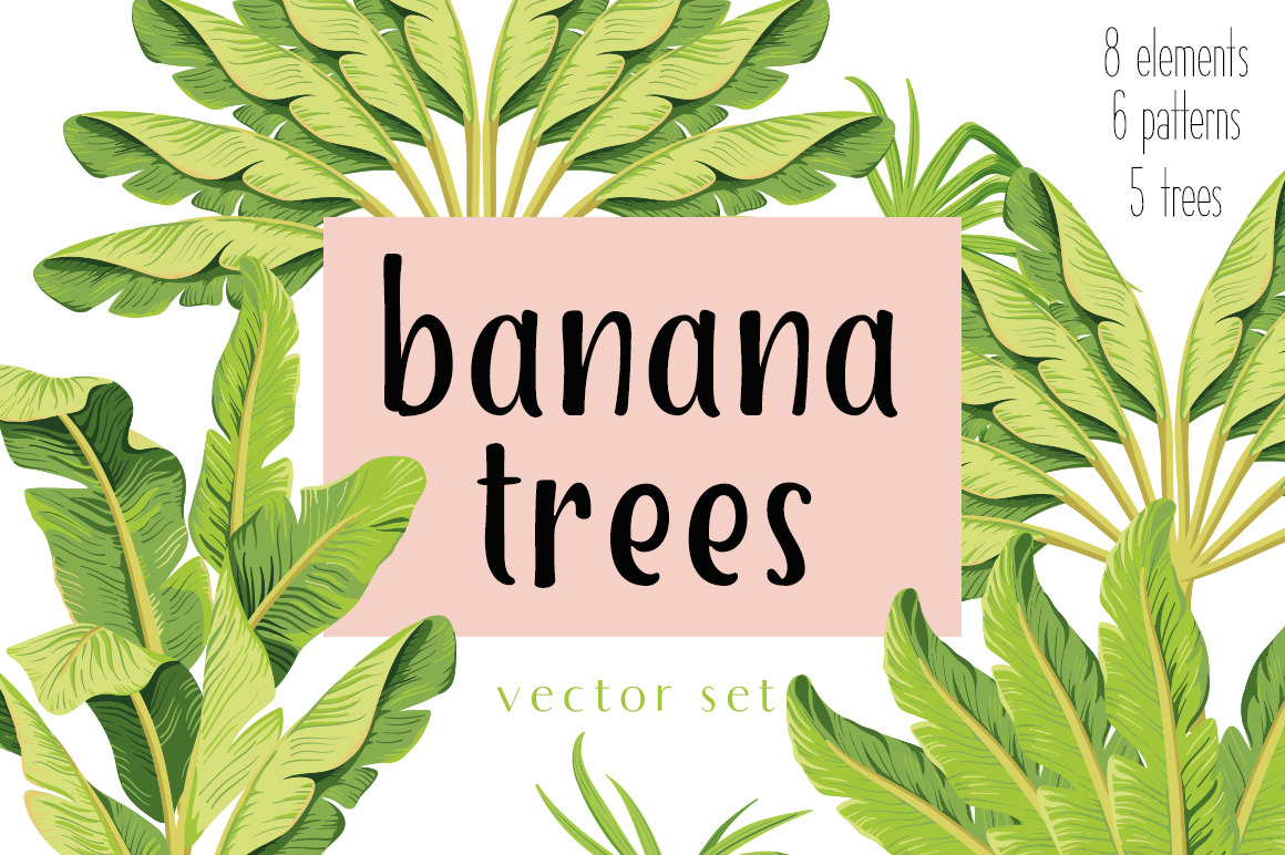 Banana trees. Vector set | Pre-Designed Illustrator Graphics ~ Creative