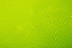 Water drops on green background featuring green, background, and drop ...