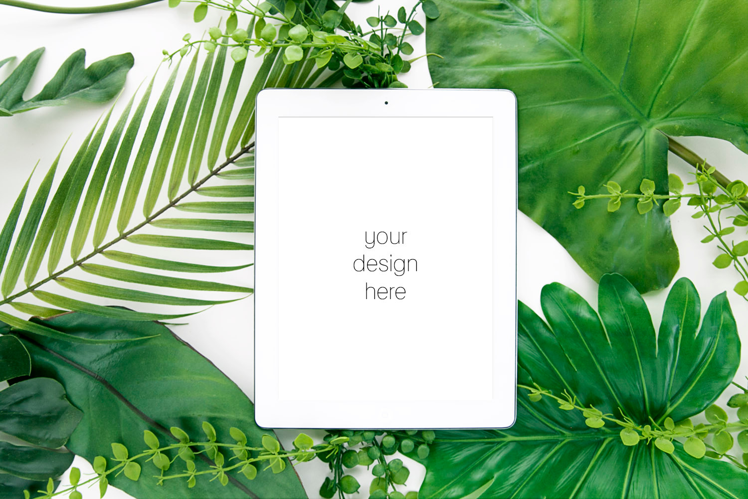 Download Tropical Monstera Leaves Ipad Mockup High Quality Business Images Creative Market