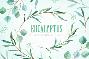 Eucalyptus. Watercolor clipart. | Pre-Designed Photoshop Graphics