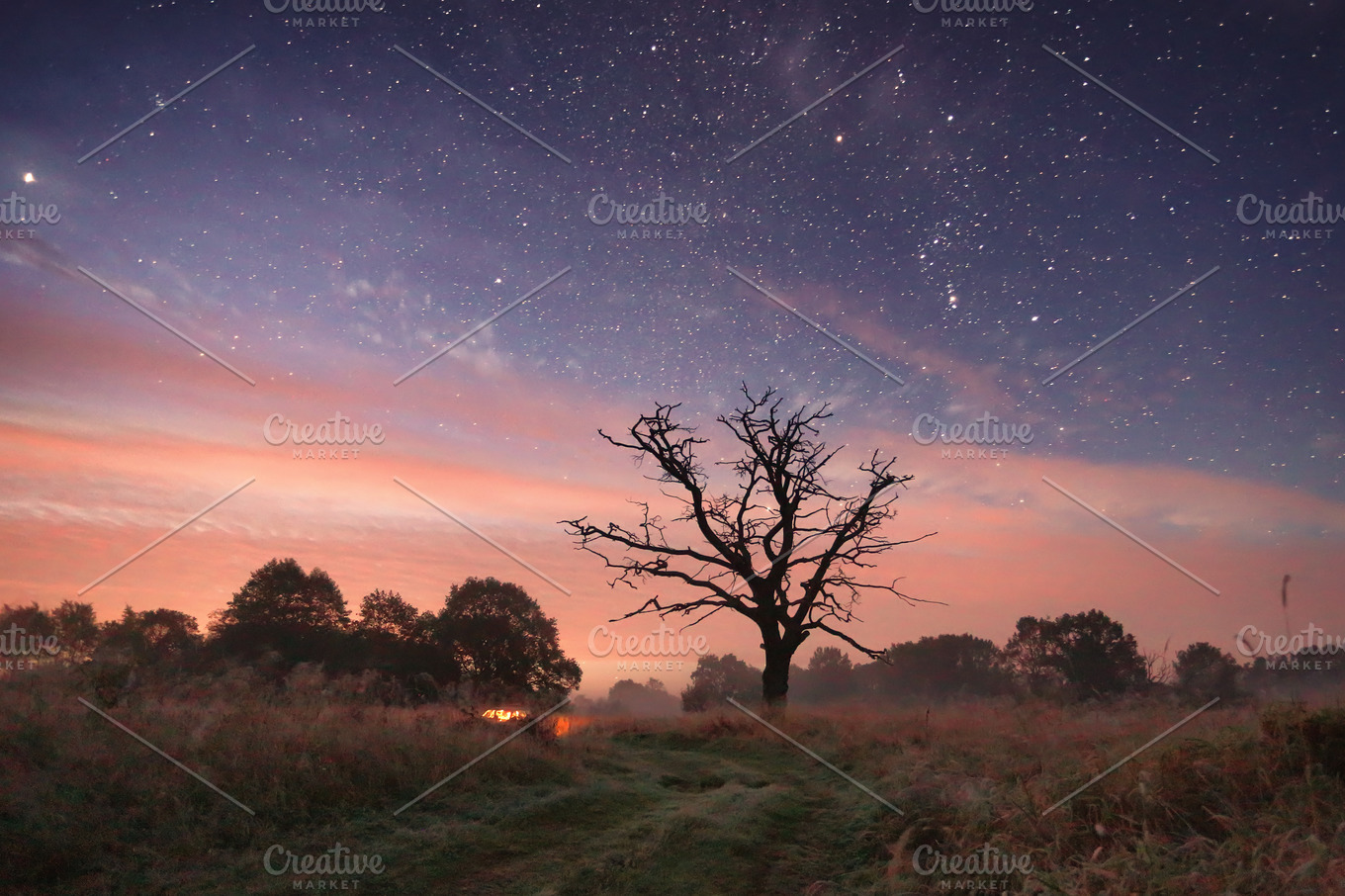 Starry sky over meadow at night | Nature Stock Photos ~ Creative Market