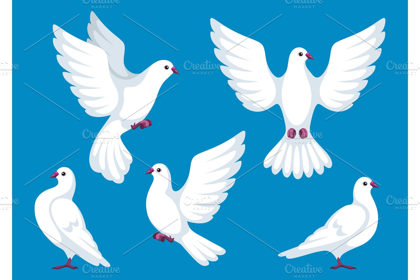 Set of five white doves. Beautiful pigeons faith and love symbol ...