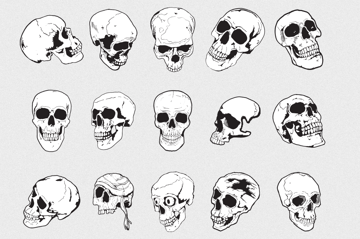 Skulls Vector Pack | Pre-Designed Illustrator Graphics ~ Creative Market