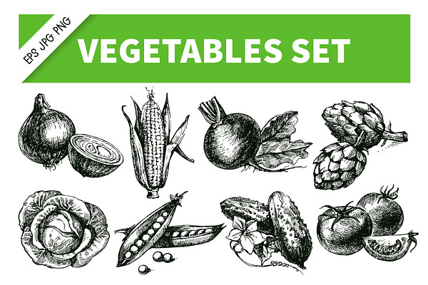 Hand Drawn Sketch Vegetables Set 2 | Pre-Designed Illustrator Graphics