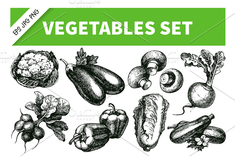 Hand Drawn Sketch Vegetables Set 1 | Pre-Designed Illustrator Graphics