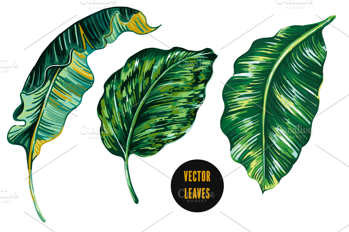 Tropical jungle leaves illustrations | Pre-Designed Illustrator